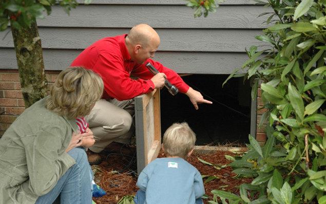 Go-Forth Pest Control-Winston