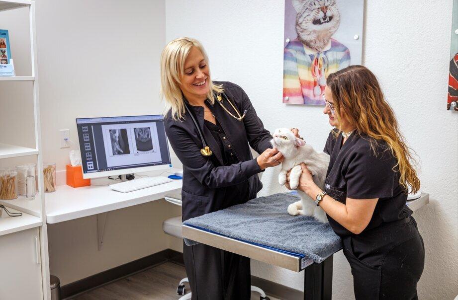 Pearly Bites Veterinary