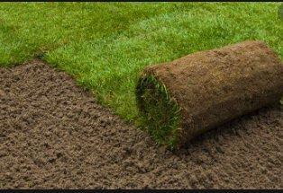 Yazoo Sod, LLC