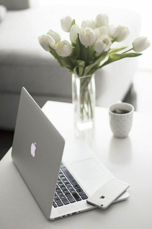 Meredith Fenton, LLC