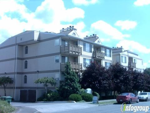 Greenfinch Photography