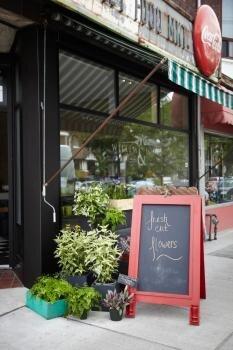 Willem & Jools Flowers