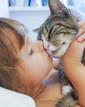 Roosevelt Animal Hospital