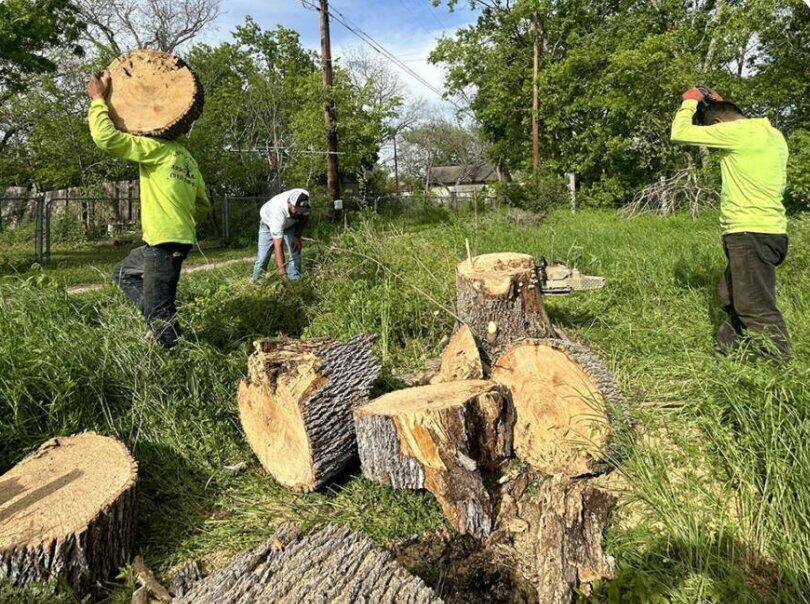 Central Texas Arbor Care