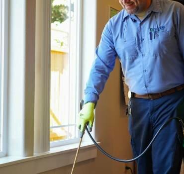 Insight Pest Solutions