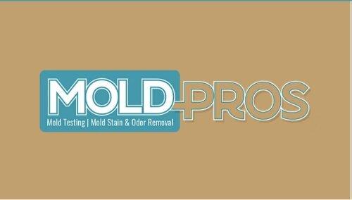 Mold Pros of West PA
