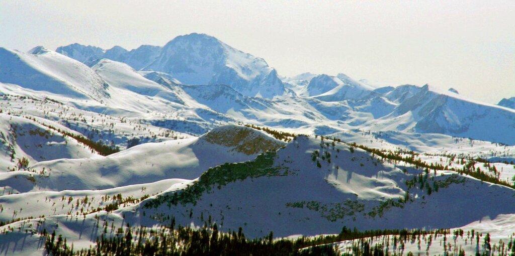 Soar Environmental Consulting