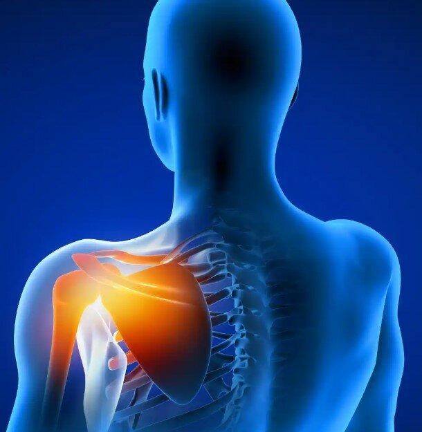 The Orthopedic Practice, MD