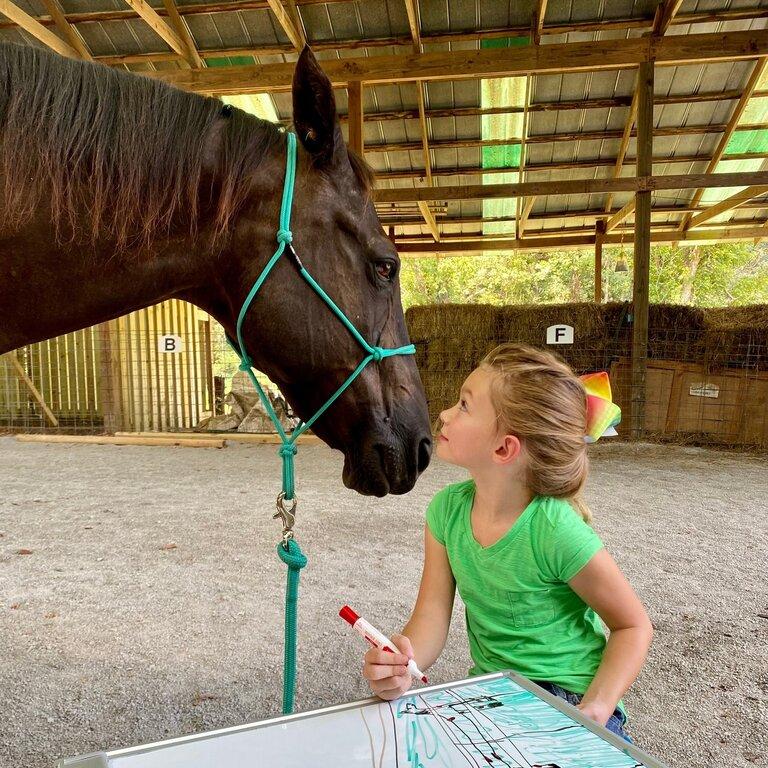 Hearts and Hooves Corral