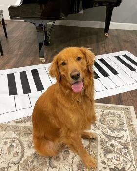 Jennifer Jackson Piano Studio