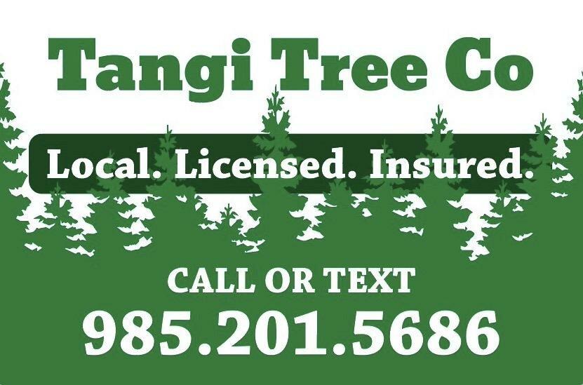 Tangi Tree