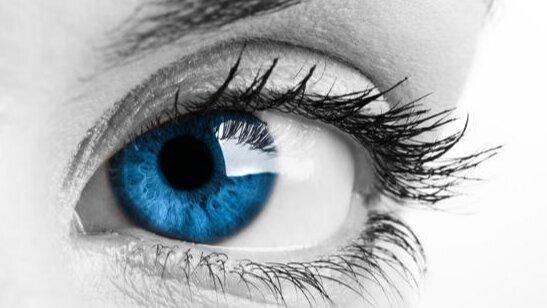 Tonernews.com, Copy Communications Inc