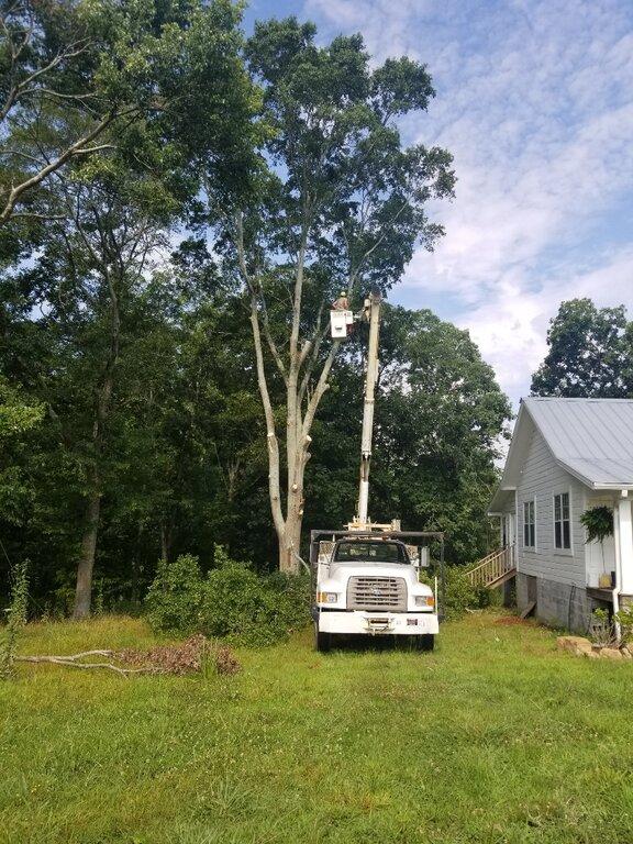 Battles Tree Service