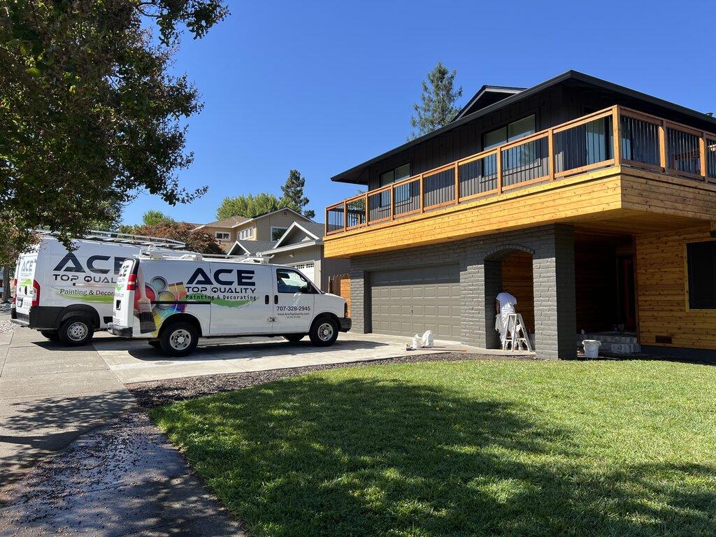 Ace Top Quality Painting