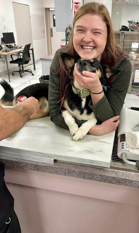 Queen Creek Veterinary Clinic