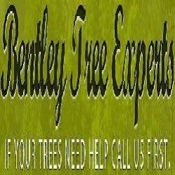 Bentley Tree Experts