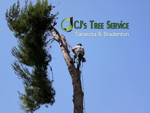 CJ's Tree Service