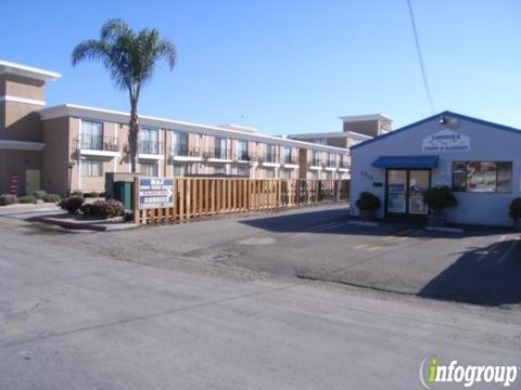 Connies Pond & Garden