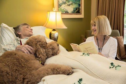 Visiting Nurse Health System