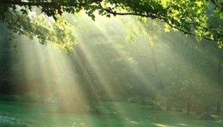 Tim Hagney Naturopathic Physician, MD