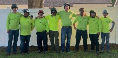 Georgia Tree Solutions Group