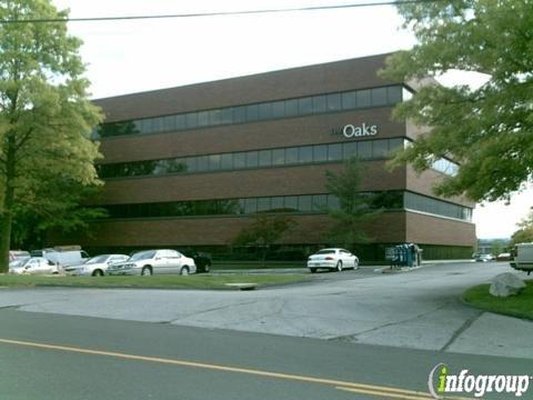 Malloy Insurance Group Inc.