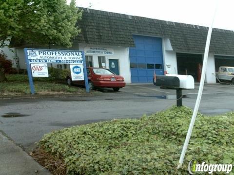 Professional Automotive