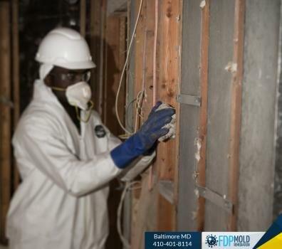 FDP Mold Remediation - Baltimore