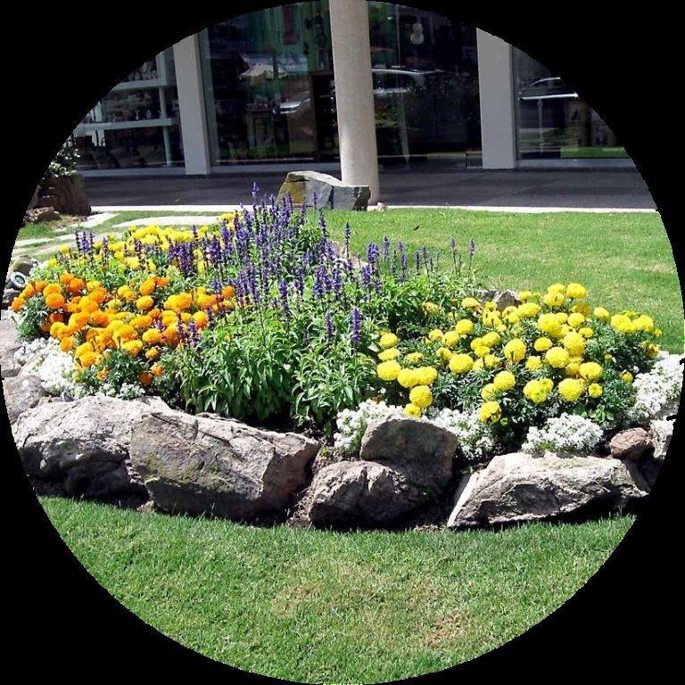 Tri Landscaping Design