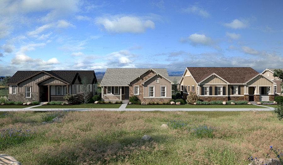 Backcountry By Richmond America