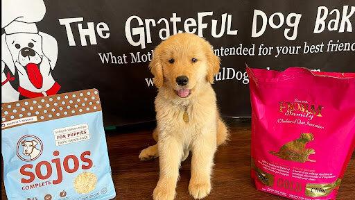 The Grateful Dog Bakery