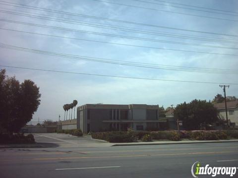 Orthopaedic Surgery Group