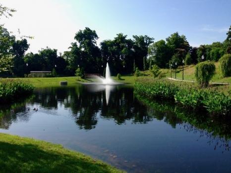 Platinum Ponds & Lake Management