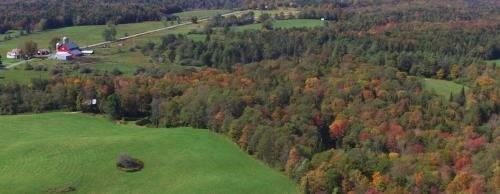 Galligan Associates Inc