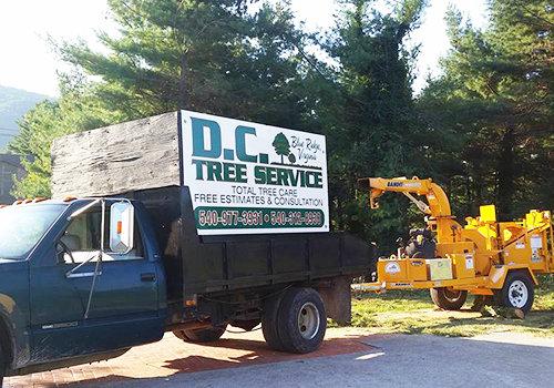 D C Tree Service