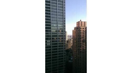 Hilton International Co
