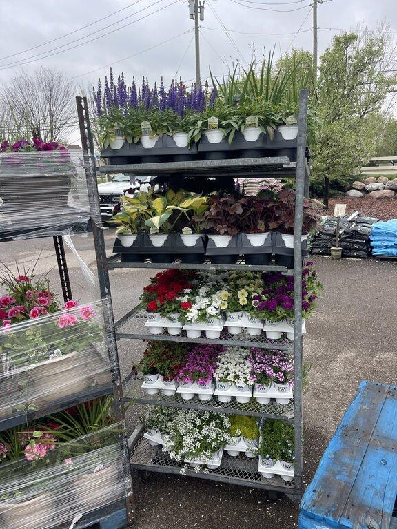 Joe Randazzo's Nursery