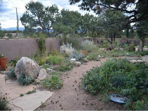 Judith Phillips' Design Oasis