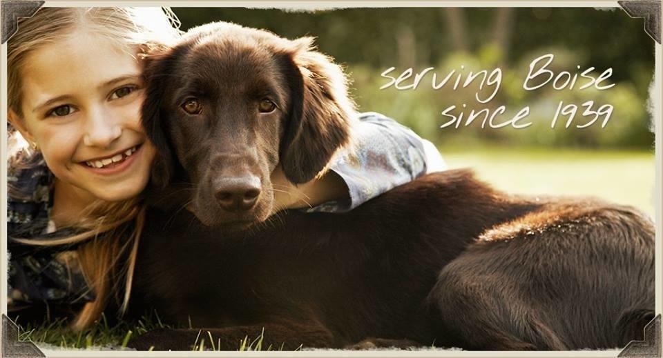 Boise Kennels