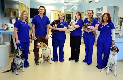 Arlington Heights Animal Hospital