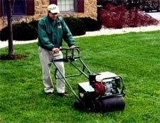 All-Pro Lawn Service