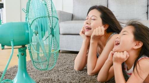 Pacific Insulation & Mold Remediation