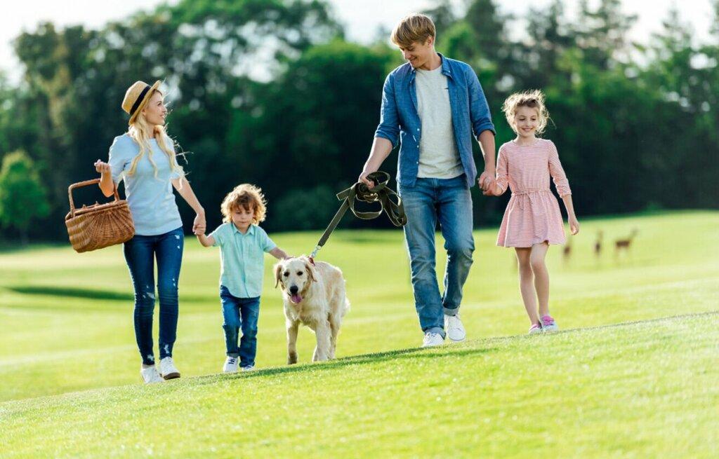 Nathan Peterson at Comparion Insurance Agency