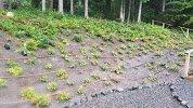 Peninsula Environmental Group, Inc