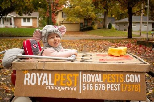Royal Pest Management