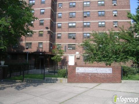 True Vine Church of Jesus