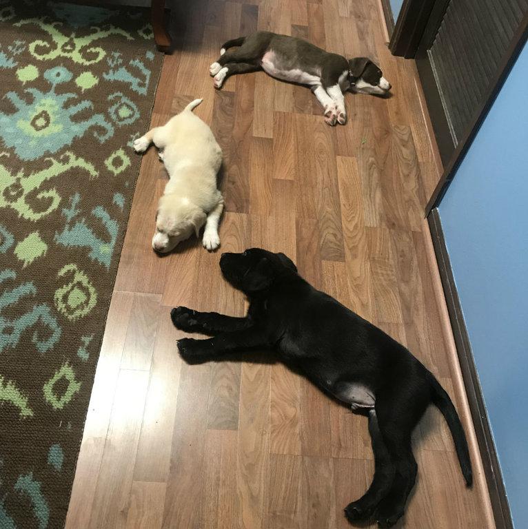 Jimmy Bowen, AGT - Allstate Insurance