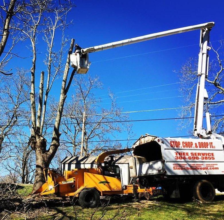 Stop, Chop, & Drop It LLC