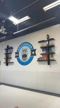 Southside Brazilian Jiu-Jitsu LLC