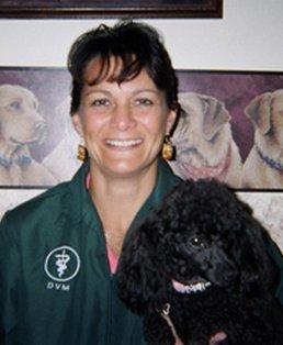 Raintree Veterinary Hospital Raintree Veterinary